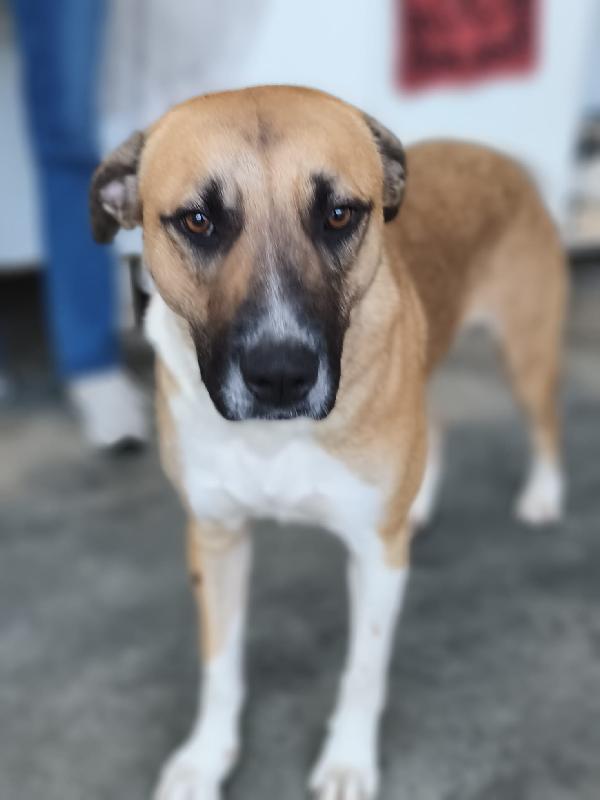 bibi, bella e buona Foto 5